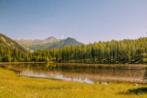 Navigating the Complexities of International Music Touring