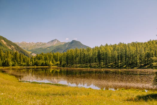 Navigating the Complexities of International Music Touring