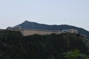 Building a Strong Defense Against Kitchen Burn Injuries