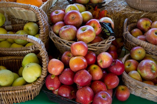 The Beginner's Guide to Shopping at Farmers' Markets