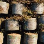 Exploring Sustainable Practices: Teaching Environmental Responsibility