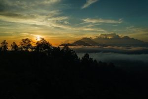 The Power of Morning Pages: Journaling for Clarity